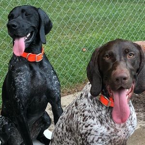 Meet your Posher, Lee